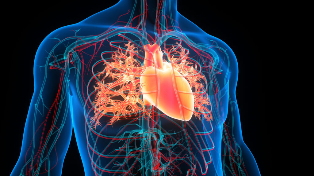 Illustration of upper body with congestive heart failure